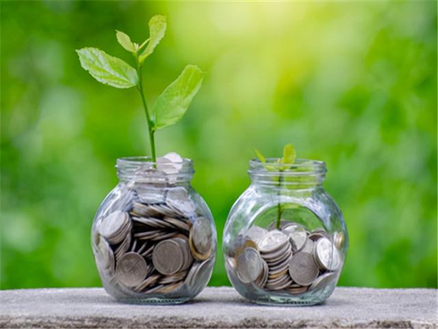 绿色债券理财(绿色债券支持目录2020)