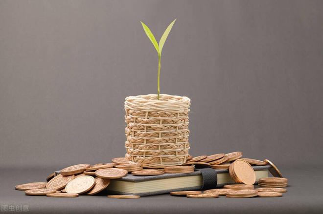 稳的理财(最稳健的理财) 稳的理财(最稳健的理财)