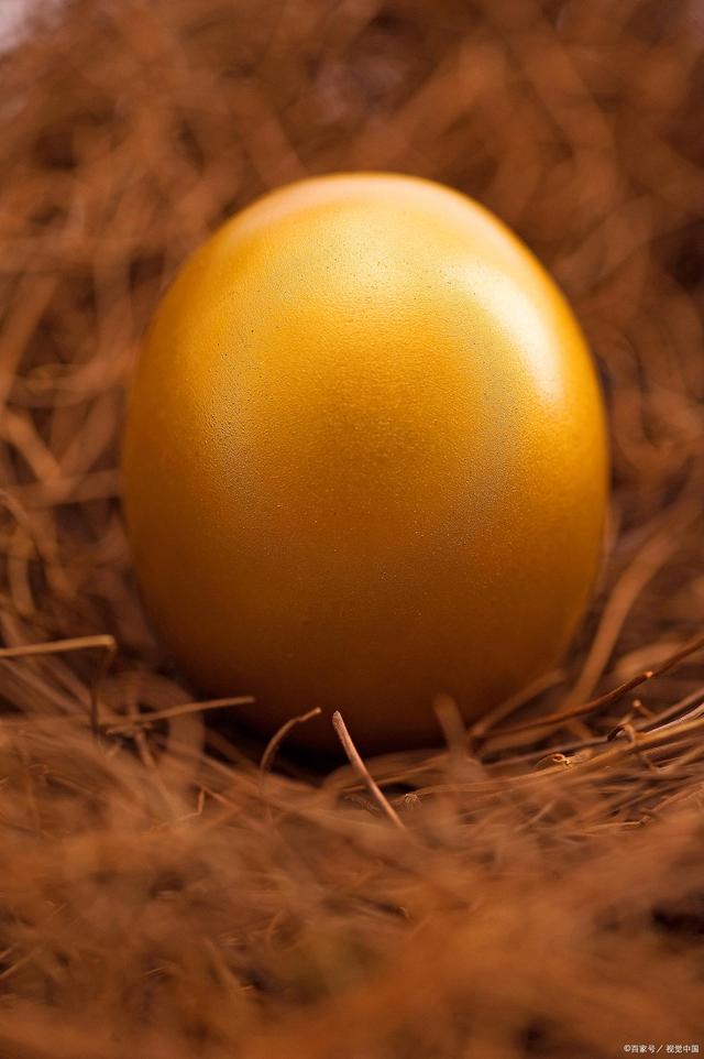 金蛋理财宣传(金蛋理财案件最新进展) 金蛋理财宣传(金蛋理财案件最新进展)