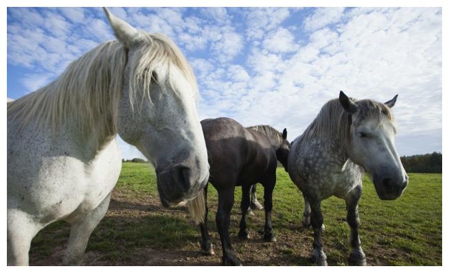 显达理财(显达理财投资集团) 显达理财(显达理财投资集团)
