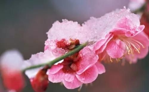 显达理财(显达的含义)