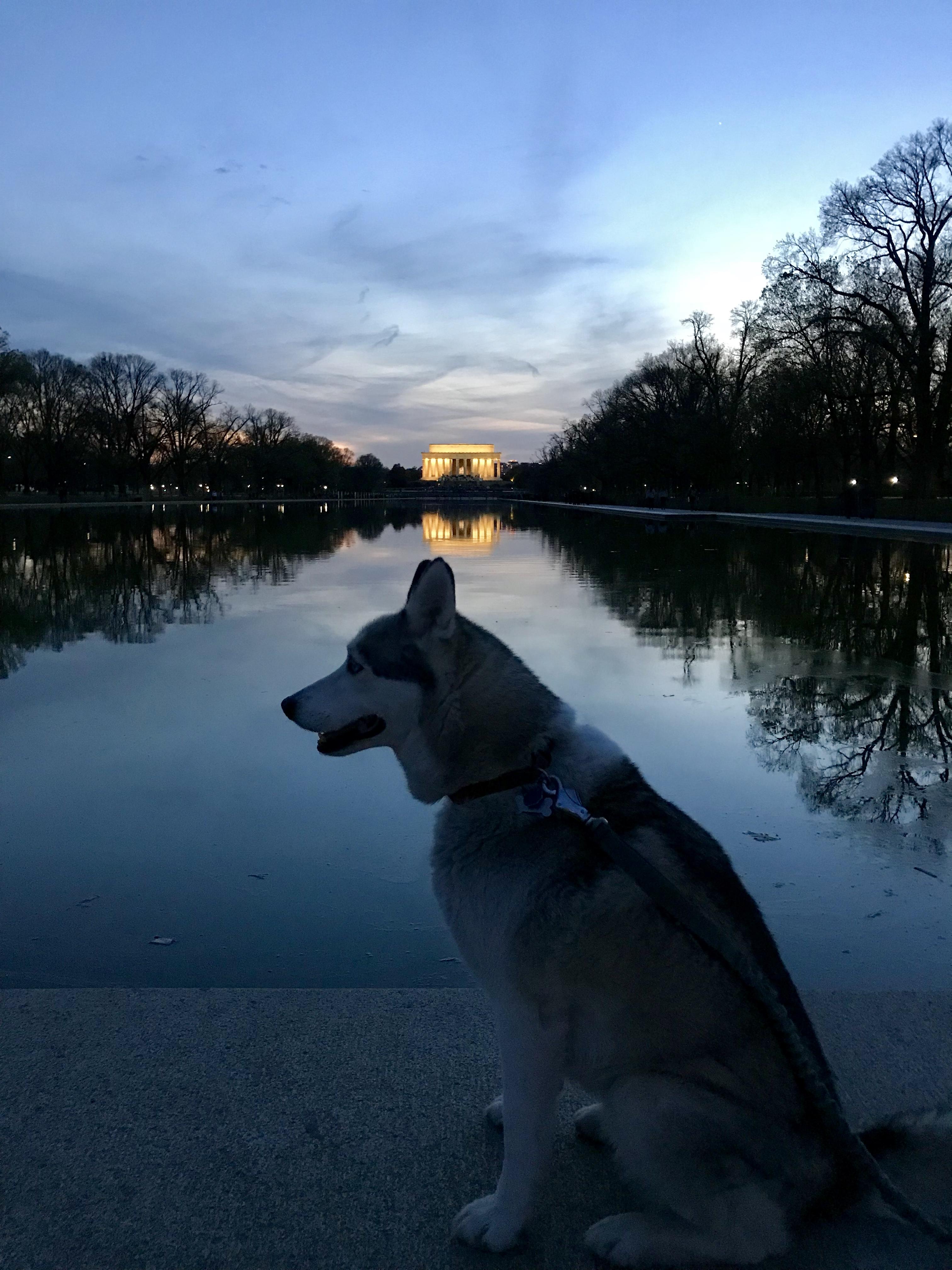 Bingbon(bingbon交易所下载) Bingbon(bingbon交易所下载)