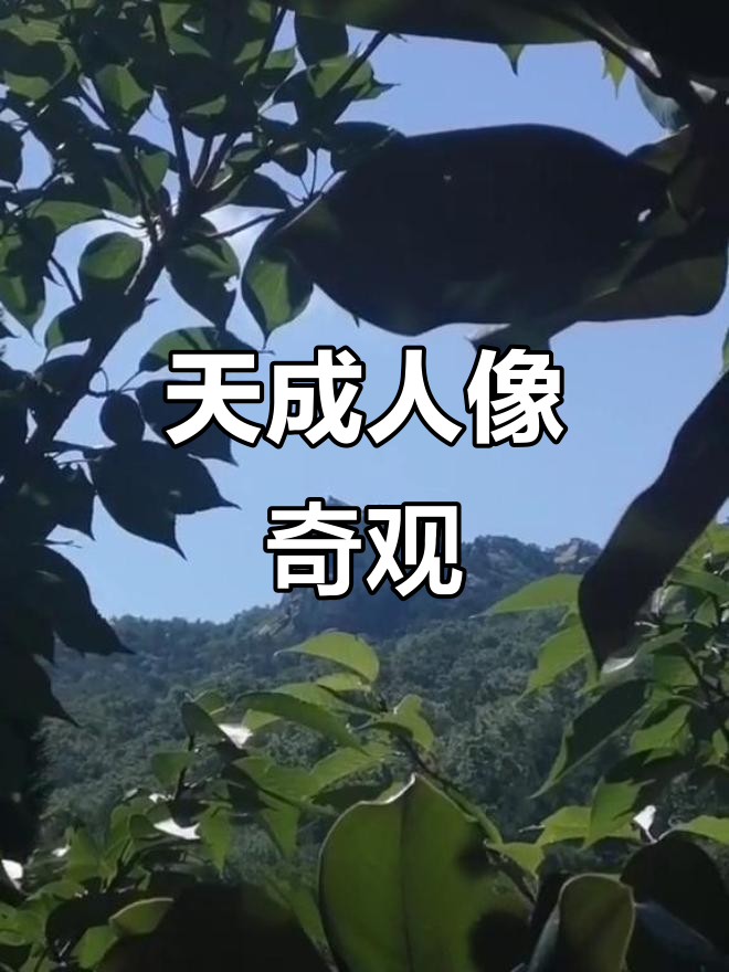 天成(天成同学)