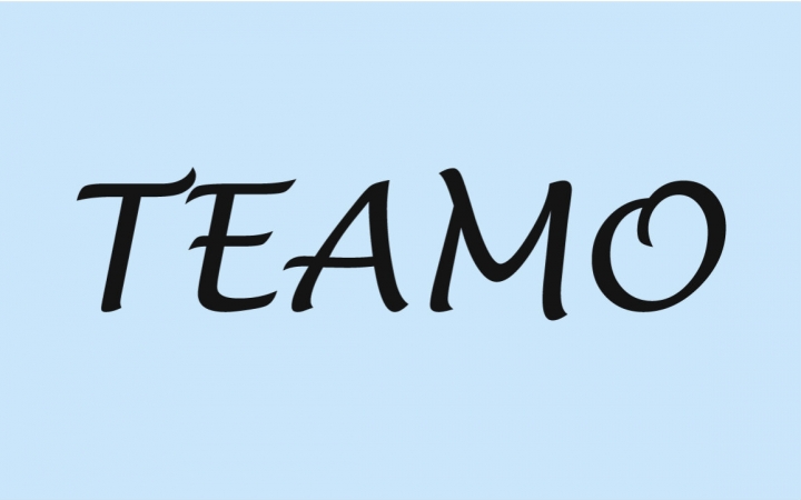 Amom(amomentago翻译)