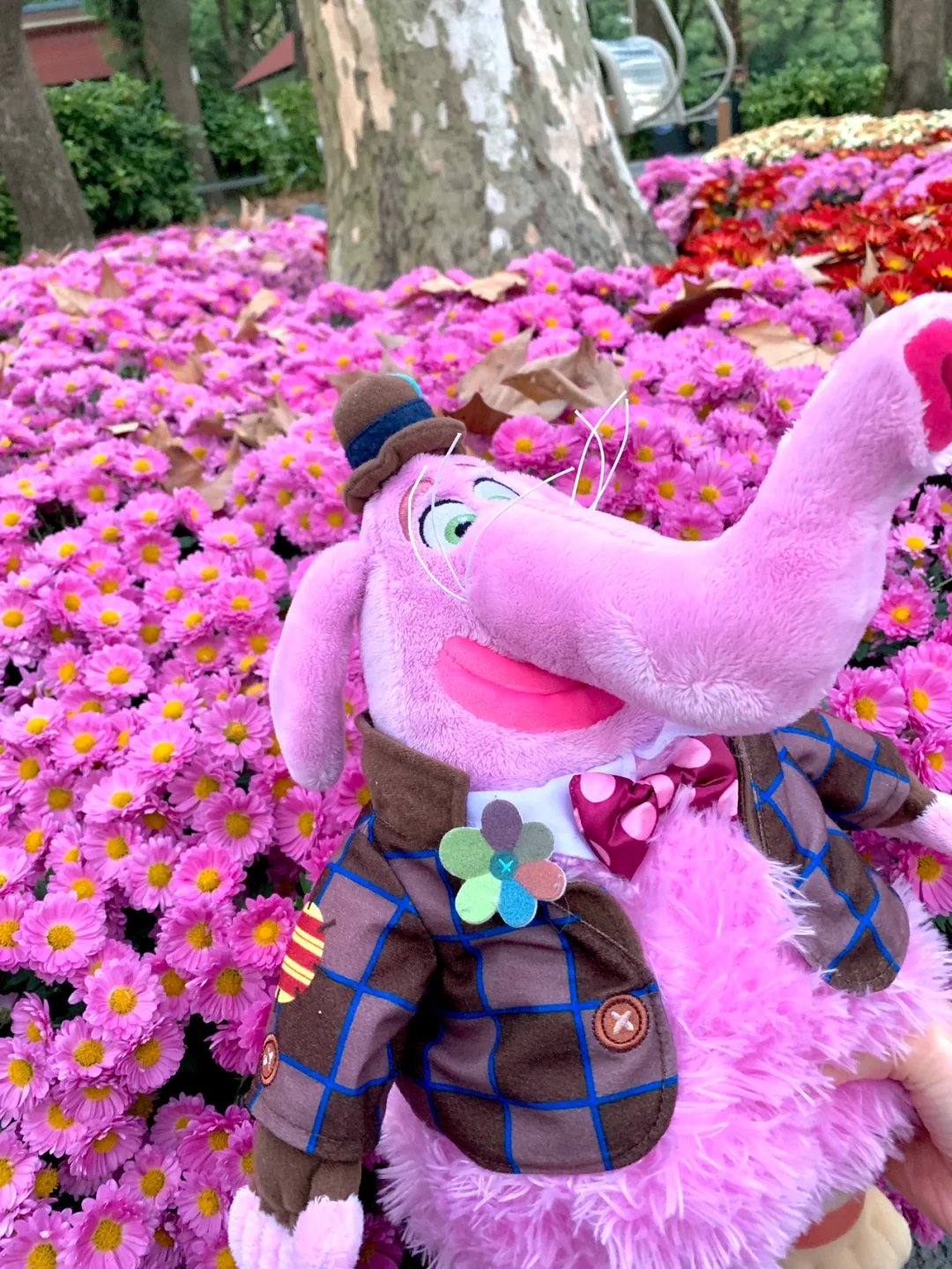 Bingbon(bingbong 是什么意思) Bingbon(bingbong 是什么意思)