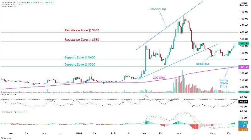 BCH-比特现金(比特现金bsv能涨到多少)