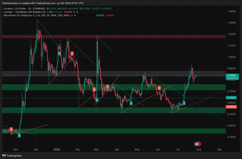 艾达币交易(艾达币交易中国有吗) 艾达币交易(艾达币交易中国有吗)