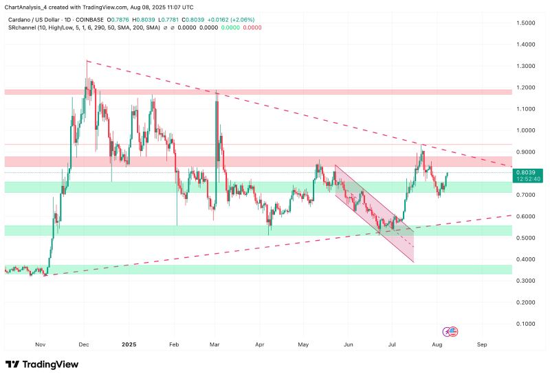 ADA交易(ada交易量猛增58%)
